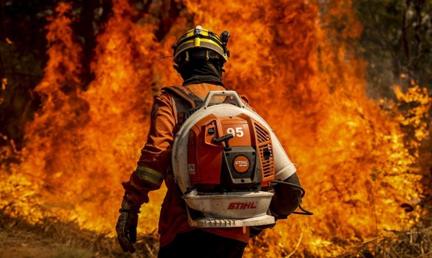 El Niño leva STF a cobrar plano contra incêndios na Amazônia Legal