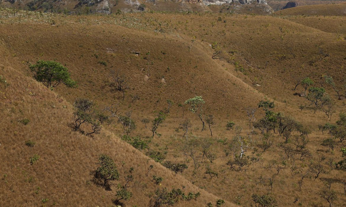 MapBiomas: fragmentação de áreas naturais quase triplicou em 40 anos