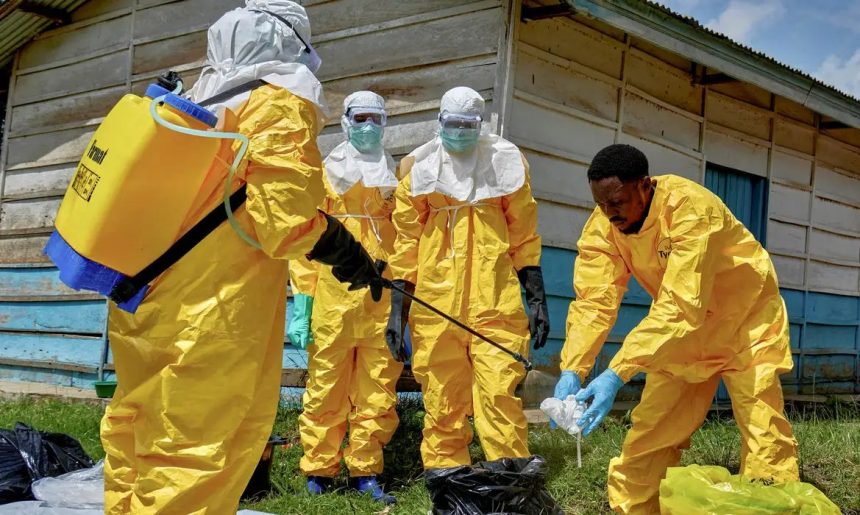 Secretaria da Saúde de SP reforça vigilância sobre ebola no estado