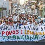 Viva Maria destaca aliança em defesa da Mata Atlântica