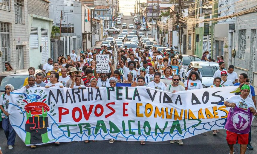 Viva Maria destaca aliança em defesa da Mata Atlântica