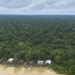 Antônia Soares traz a força da floresta ao Viva Maria