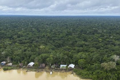Antônia Soares traz a força da floresta ao Viva Maria