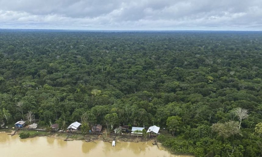 Antônia Soares traz a força da floresta ao Viva Maria