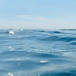 Dia Mundial dos Oceanos reforça importância dos mares para o clima