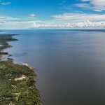 Dia do Meio Ambiente reforça importância de ações sustentáveis no país