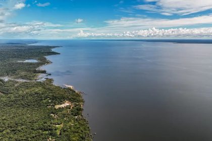 Dia do Meio Ambiente reforça importância de ações sustentáveis no país