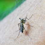 Estado de São Paulo confirma quinta morte por febre amarela no ano