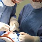 Fissura labiopalatina demanda tratamento precoce e multidisciplinar