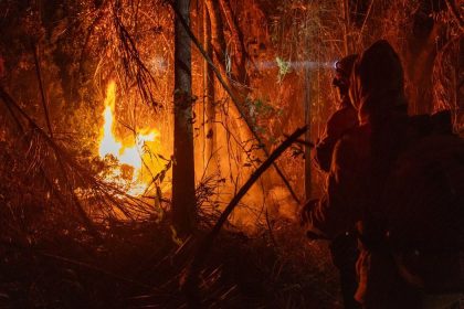 MP libera mais de R$ 337 milhões para combate a incêndios florestais