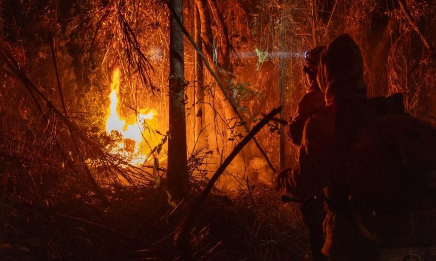 MP libera mais de R$ 337 milhões para combate a incêndios florestais