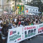 Marcha em São Paulo pede legalização da maconha