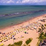Pernambuco volta a monitorar tubarões na orla após 10 anos