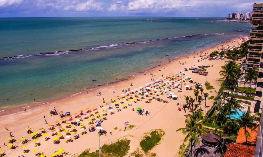 Pernambuco volta a monitorar tubarões na orla após 10 anos