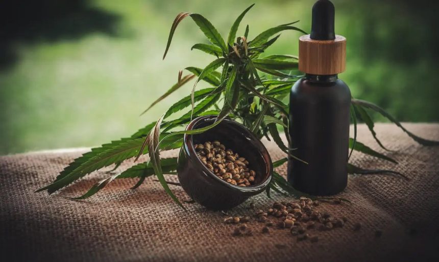 Projeto apoia mães e crianças atípicas tratadas à base de cannabis