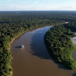 Reino Unido se torna o segundo maior doador do Fundo Amazônia