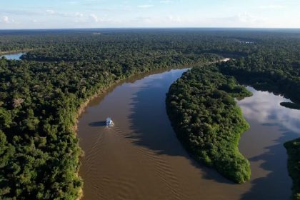Reino Unido se torna o segundo maior doador do Fundo Amazônia