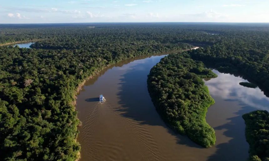 Reino Unido se torna o segundo maior doador do Fundo Amazônia