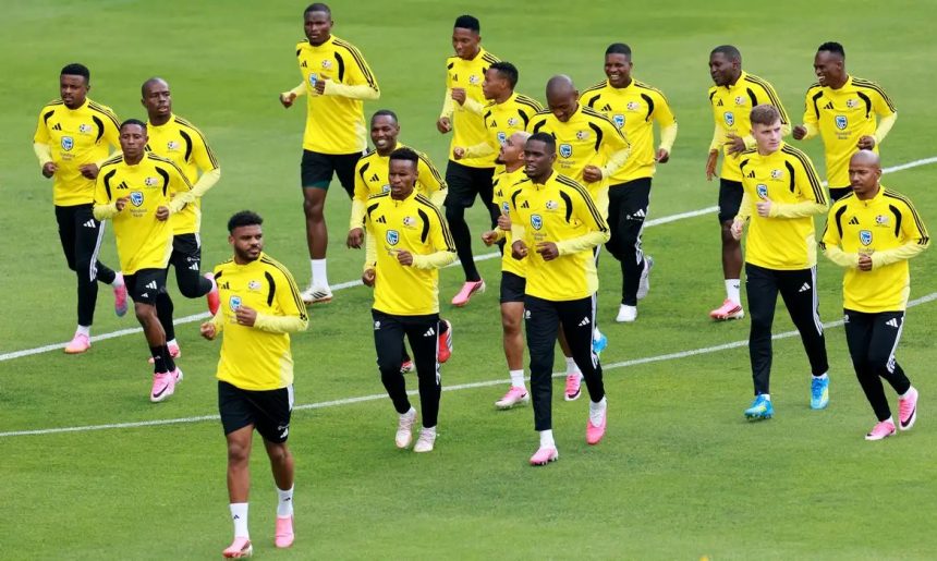 Semelhanças entre Brasil e África do Sul vão além do verde e amarelo