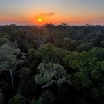 Viva Maria celebra o Dia Mundial do Meio Ambiente
