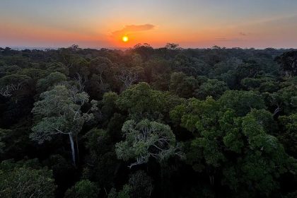 Viva Maria celebra o Dia Mundial do Meio Ambiente