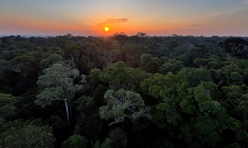 Viva Maria celebra o Dia Mundial do Meio Ambiente