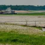 Amazônia apresenta sinais de adaptação às mudanças climáticas