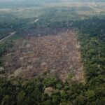 Amazônia registra queda de 35% nos alertas de desmatamento em junho