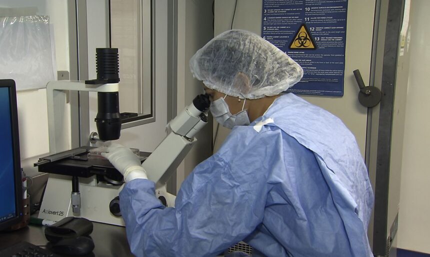 Saiba como cientistas “curaram” pacientes infectados com HIV