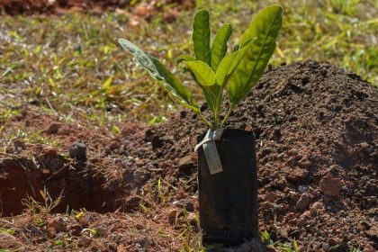 Sesi Lab inaugura espaço que abriga sistema agroecológico educativo