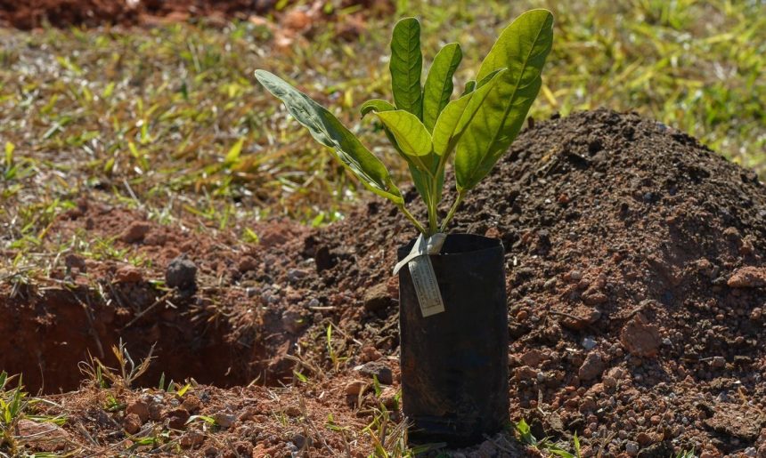 Sesi Lab inaugura espaço que abriga sistema agroecológico educativo