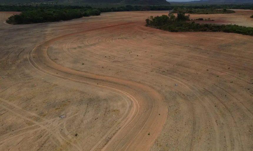 Alertas de desmatamento caem 37% na Amazônia e 8% no Cerrado