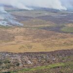 Brasil estabelece meta de restaurar 163 mil km² de terras degradadas
