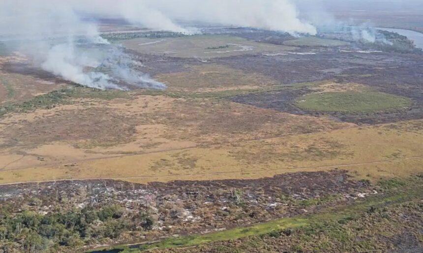 Brasil estabelece meta de restaurar 163 mil km² de terras degradadas