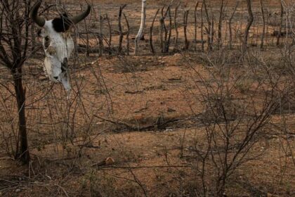 COP 17 sobre desertificação inicia na Mongólia