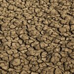 El Niño: entenda o fenômeno que intensifica os fenômenos climáticos