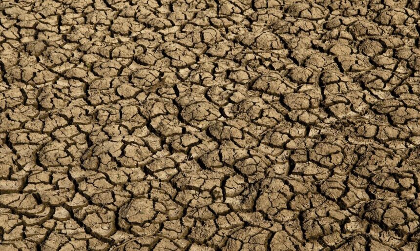 El Niño: entenda o fenômeno que intensifica os fenômenos climáticos