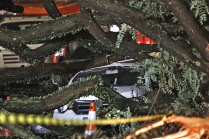 Chuvas fortes levam Defesa Civil a emitir mais de 50 alertas em SP