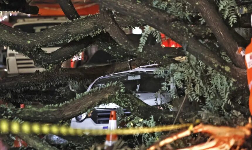 Chuvas fortes levam Defesa Civil a emitir mais de 50 alertas em SP