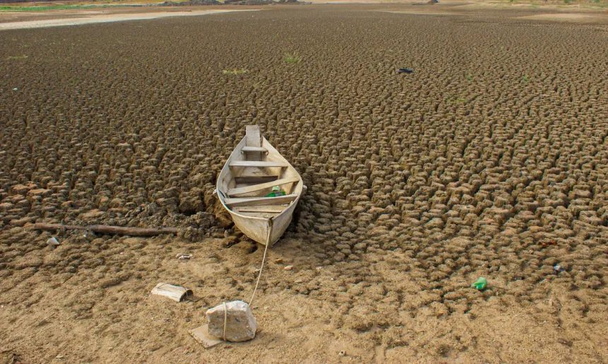 Dia da Amazônia é celebrado com El Niño e alerta de seca intensa