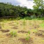 ECA Ambiental garante direito de acesso de jovens a áreas verdes