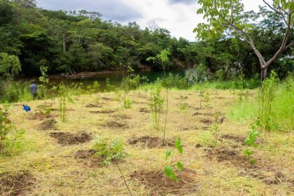 ECA Ambiental garante direito de acesso de jovens a áreas verdes