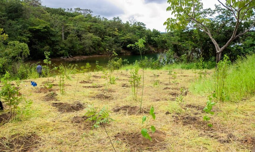 ECA Ambiental garante direito de acesso de jovens a áreas verdes