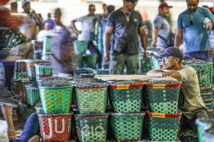 Justiça do Trabalho recomenda adaptação para enfrentar El Niño
