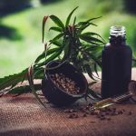 Para associações, normas ainda deixam pontos em aberto sobre cannabis