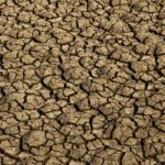 Seca provoca situação de emergência em 123 cidades do RN