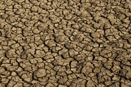 Seca provoca situação de emergência em 123 cidades do RN