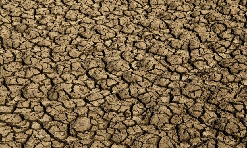 Seca provoca situação de emergência em 123 cidades do RN