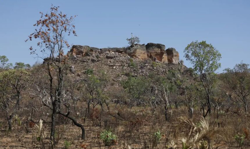 Terras indígenas representam preservação e cultura para o Cerrado