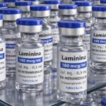 Testes clínicos fase 1 da polilaminina começam este mês